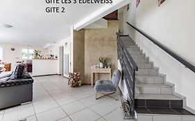 Les 3 Edelweiss - Gite 1 Ou Gite 2